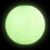 Waudog Fun Ball (glow in dark)